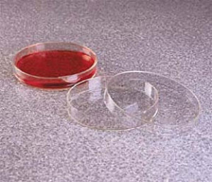 Nalgene™ Transparent Petri Dish