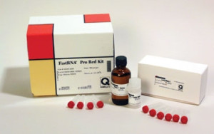 FastRNA® Pro Red Kit