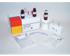 FastRNA® Pro Soil-Direct Kit