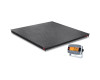 Ohaus&#174; Defender&#174; 3000 Floor Scales