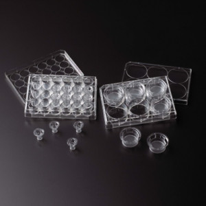 Celltreat® Permeable Cell Culture Inserts