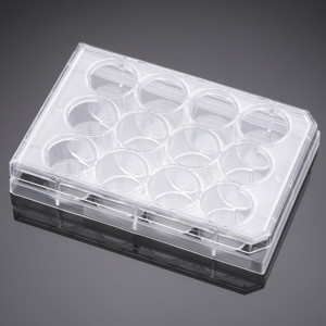 Falcon® Multiwell Cell Culture Plates