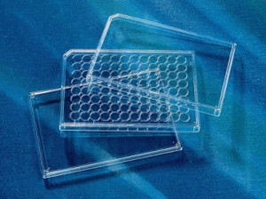 Corning® Lids for 96-Well Microplates