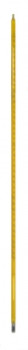 Mercury Partial Immersion Thermometer with Yellow Back, 76mm