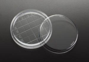 Simport® Contact Dishes with Grid