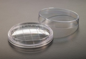 Simport® Contact Dishes with Grid