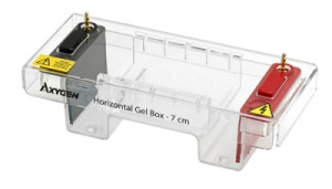 Axygen® HGB-7 Horizontal Gel Box System