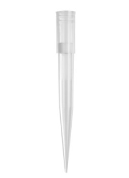 Axygen® Universal Fit 1000µL Filtered Pipet Tips